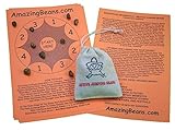 Sack of 50+ Live Mexican Jumping Beans. Includes Educational Game Sheets.