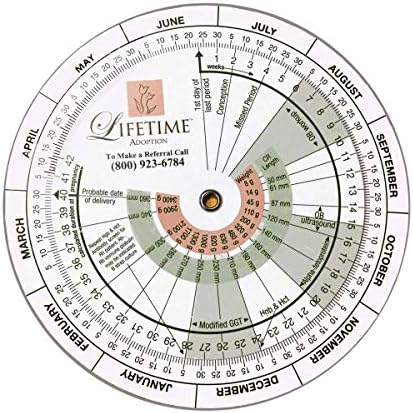 Amazon Com Pregnancy Wheel Designed For Ob Gyn Doctors Midwives Nurses And Patients To Calculate Due Date When Pregnant Health Personal Care