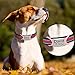 Vcalabashor Stainless Steel On Collar Dog Tags / Engraved Customized No Noise Dog ID Tags / Personalized Pet Tags for Small Medium Large Dogs / Fit 3/8