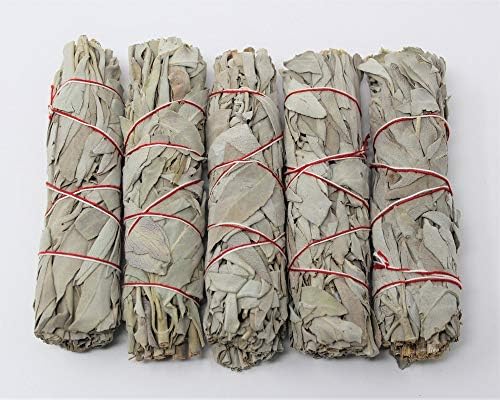 Rainbowrecords239 Set of 5 White Sage Smudge Wands/Sticks