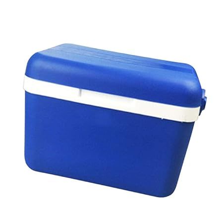 IrahdBowen - Nevera con asa de Transporte (poliestireno, 3/8/20 L ...