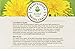 Traditional Medicinals Organic Roasted Dandelion Root Tea, Single Serve Cups for Keurig K-Cup Brewers, 10 Count