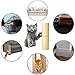 NEBYWOLD Cat Anti-Scratch Tape Deterrent,with Polymer Scratch-Resistant TPU Material Protecting Your Furniture and Leather Scratch Guard Protector Tape for Cats and Pets (18W9L)thumb 2
