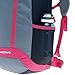 QUECHUA NH100 20-LITRE HIKING BACK PACK – PURPLE/GREY