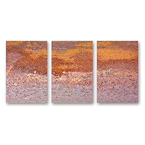 Canvas Wall Art Abstract Iron Rusty Painting Artwork for Home Prints Framed - 16"x24" x 3 Panels