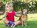 Rechargeable Anti Dog Bark Collar, Waterproof , Dog Bark Collar, Multiple Modes Train Large Medium Small Dogs Humanely with LED Breathing Light & Screen