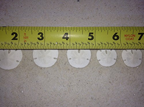 2 Tumbler+Home+Certified+Natural+Dollars