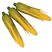 Babariol Artificial Corn, Lifelike Simulation Fake Vegetable Corn (3 pcs) (Corn)