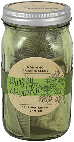Modern Sprout Garden Jar - Grow Parsley with Self Watering Indoor Garden Kit
