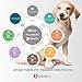 GoodBoy Dog Barking Collar for Medium and Large Dogs You Can Control Your Pet Unwanted Barking with This Safe Vibrating Anti Bark Training Device (8+lbs) (Pink, Good Girl)