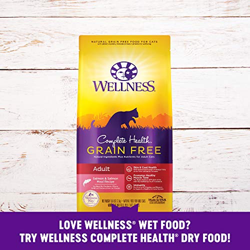 Wellness Complete Health Gravies Grain Free Canned Cat Food, Salmon