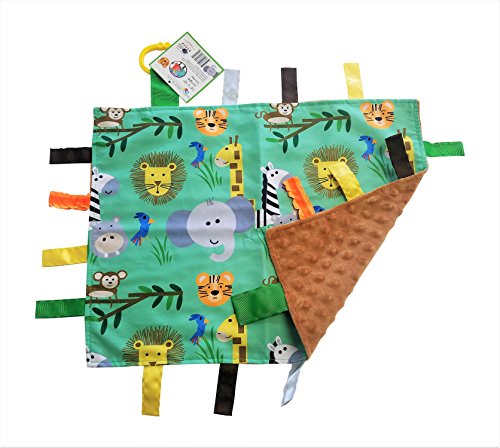 Teething Blanket Lovey made with Minky Dot Fabric Babies Favorite Security Blanket Baby Jack & CO