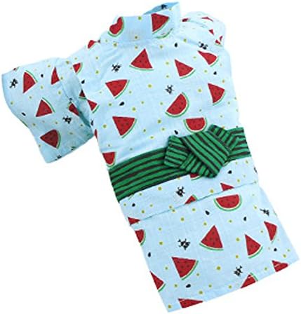 iDog Watermelon Dog Kimono Costume Large (for medium or small dogs)