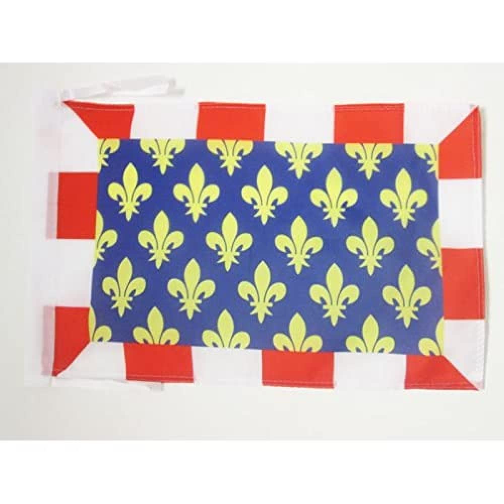AZ FLAG - French Department of Indre-et-Loire Flag - 18'' x 12'' - 100% Polyester France Small Banner with Two Cords - Fade Resistant - Vivid Colors - 18x12 in - 45x30 Cm — image 1