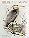 The Birds of Indiana primary