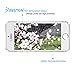 BlastCase for iPhone 5/5s/5c, Tempered Glass HD Clear Screen Protector, Perfect Premium Protector for Apple iPhone (iPhone 5/5s/5c)