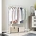 Rackaphile Clothes Rack, Clothes Organizer, Adjustable Double Rails Heavy Duty Garment Rack for Balcony and Bedroom (White)