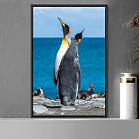 Framed Canvas Wall Art Group of Birds Beach Birds Expressive Group Multicolor Photography - 16x24 inches