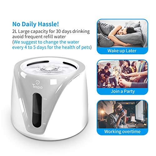 Tespo Cat Water Fountain Pet Drinking Water Dispenser Healthy and Hygienic 2L Automatic Pet Water Bowl for Dogs, Cats, Birds and Small Animals - Thumbnail 5