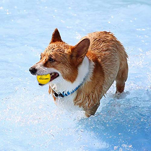 EXPAWLORER 12 Pack Floatable Dog Rubber Bouncy Balls Floating Fetch Toy