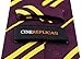 Harry Potter Tie ● Necktie ● By Cinereplicas® ● Micro Fibra (Gryffindor)