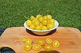 Lemon Drop Organic Tomato Seeds- Rare Yellow Cherry Heirloom- 50+ Seeds by Ohio Heirloom Seeds