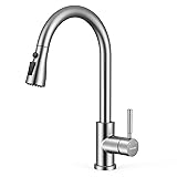 WEWE Kitchen Faucets with Pull Down