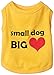 Parisian Pet Dog T-Shirt - Embroidered “Small Dog Big Heart” Dog Shirt - 100% Cotton, Breathable Dog Clothes - Sleeveless Pet Vest - Cute Dog Clothes - Dog Shirts for Small Dogs - S