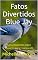 Livro Fatos Divertidos Blue Jay: Fatos Divertidos sobre Pássaros para Crianças #5