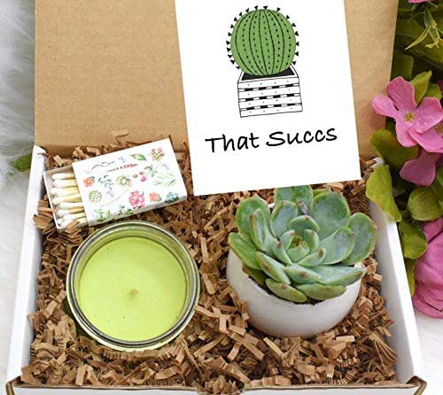 Care Package Succulent Gift Box That succs