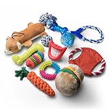 11-Piece Dog Toys Value Pack - Chew Toys Puppy Toys and Assorted Toys for Dogs in a Unique Dog Toy Set