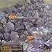8mm round natural amethyst gemstone beads strand 15
