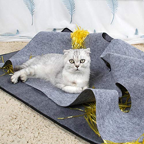 cat play blanket