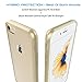 Luvvitt Clear View Case with Hybrid Scratch Resistant Back Cover and Shock Absorbing Bumper for Apple iPhone 7 (2016) iPhone 8 (2017) and iPhone SE (2020) - Gold
