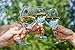 Simply Charmed Magnetic Wine Glass Charms with Bee, Strawberry and Flowers Set of 6 Fun Drink Markers or Cocktail Identifiers
