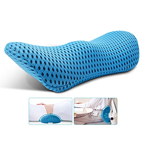 NeoCushion Lumbar Support Pillow for Office Chair,Couch,Car Seat