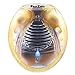 PestZilla Indoor Robust Plug-in Spider and Bed Bug Pest Repeller + Night Light – Eradicates Spiders, Bed Bugs, and all types of other Rodents and Insects