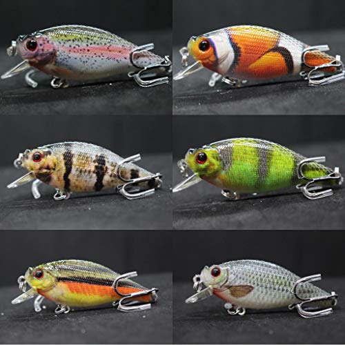 wLure Large Profile 2 1/2 inch Crankbait for Bass Fishing Bass Lure Fishing Lure with Free Tackle Box HC547KB