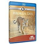 Cover Image for 'Nature: Broken Tail: A Tiger's Last Journey'