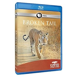 Cover Image for 'Nature: Broken Tail: A Tiger's Last Journey'