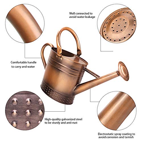 Megawodar 1 Gallon Metal Watering Can with Removable Spout, Nice Galvanized Steel Water Can with