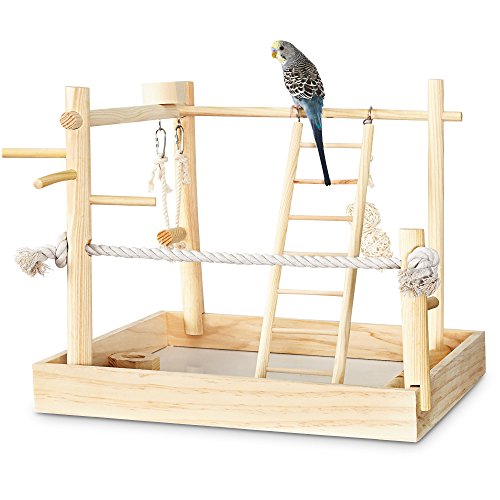 You & Me 3-in-1 Playground for Birds, 15" L X 15" W X 16" H, 15 in - Thumbnail 2