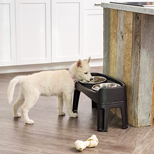 IRIS USA Large Elevated Pet Feeder with Attachable Legs and 2 Stainless