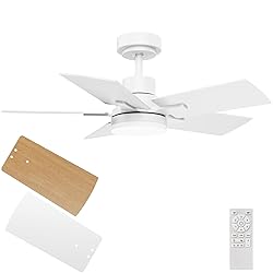 Regair Small Ceiling Fan With Light 32 Inch, Remote