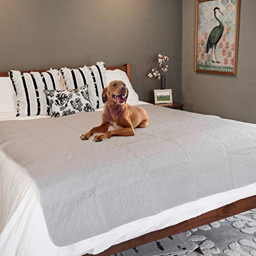 rocket & rex Whelping Pad Reusable Puppy Pads and Washable Pee Pads