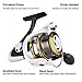 Saltwater Spinning Reel, Steed Saltwater Fishing Reels Ultralight for Finesse Inshore Reefs Surf Casting, Kayak Boat Jigging and Freshwater Ice Fishing, Piers, Bass fishing Reels - Corrosion Resistant