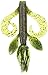Yamamoto Gary 4'' Kreature Realistic Soft Plastic Fishing Lure Baits With Wings And Free-Flowing Skirt - 7 Pack, Watermelon With Large Black And Small Red