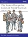 The Austro-Hungarian Forces in World War I (2): 1916-18 (Men-at-Arms) (v. 2) by