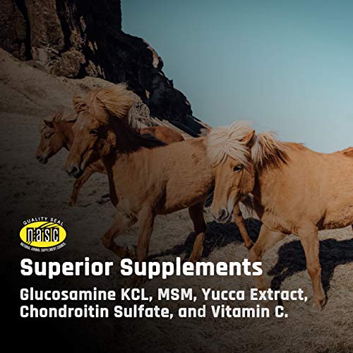 Majesty's Flex XT Wafers - Superior Horse / Equine Joint Support With Increased Supplement Levels - Glucosamine, MSM, Yucca, Vitamin C - 60 Count (2 Month Supply)