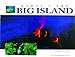 HAWAII The BIg Island by 